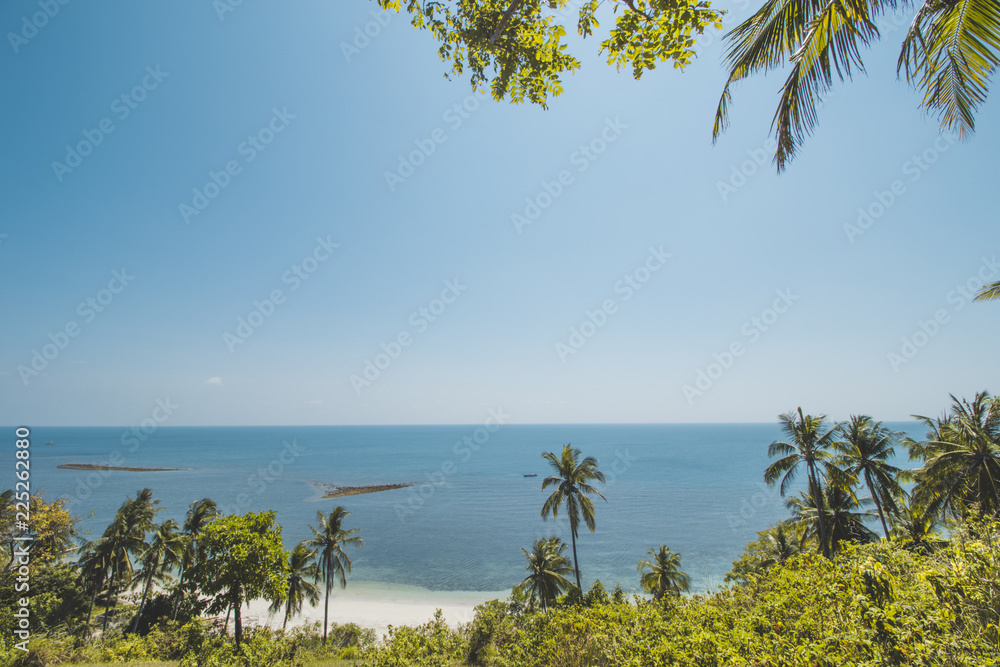Beautiful Tropical Beach with Coconut Tree and Blue Sky