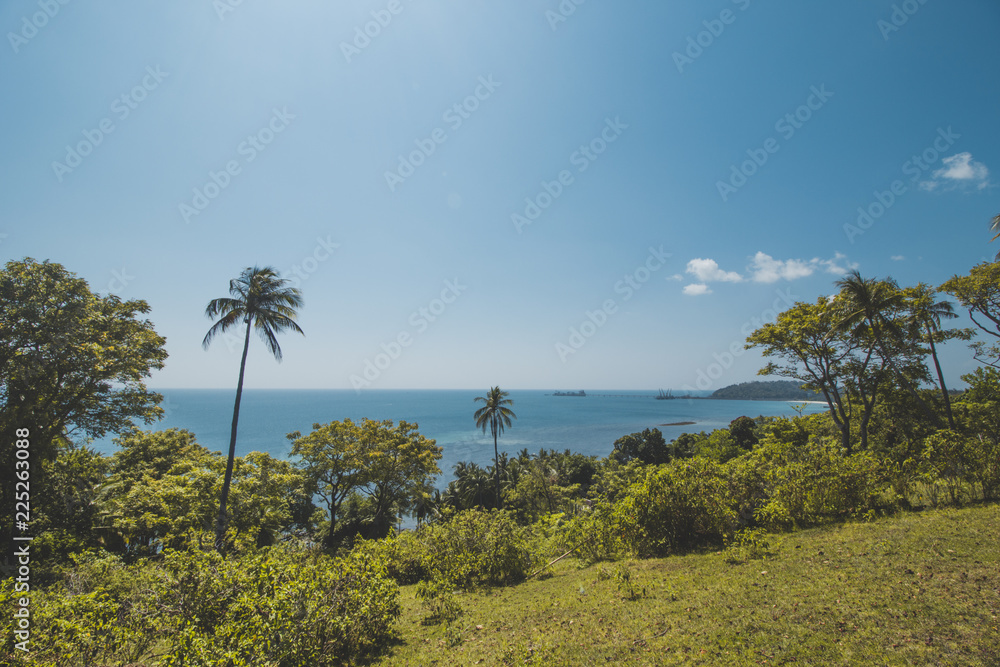 Beautiful Tropical Beach with Coconut Tree and Blue Sky