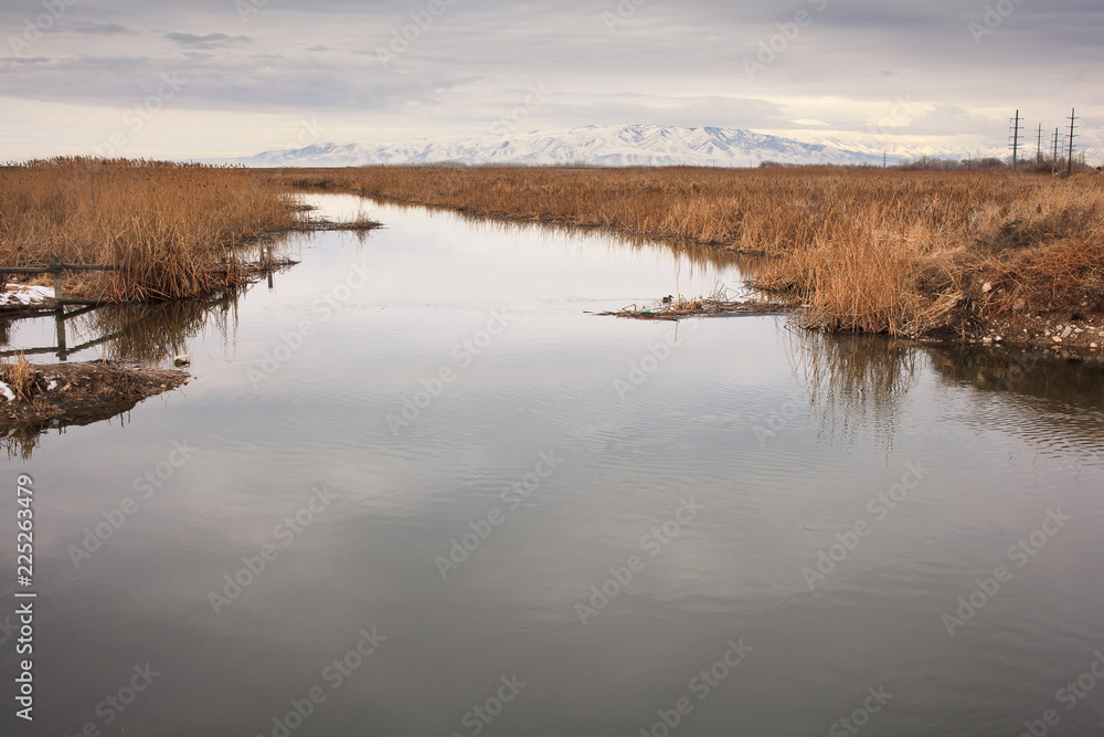 Wetlands with distant mountains 