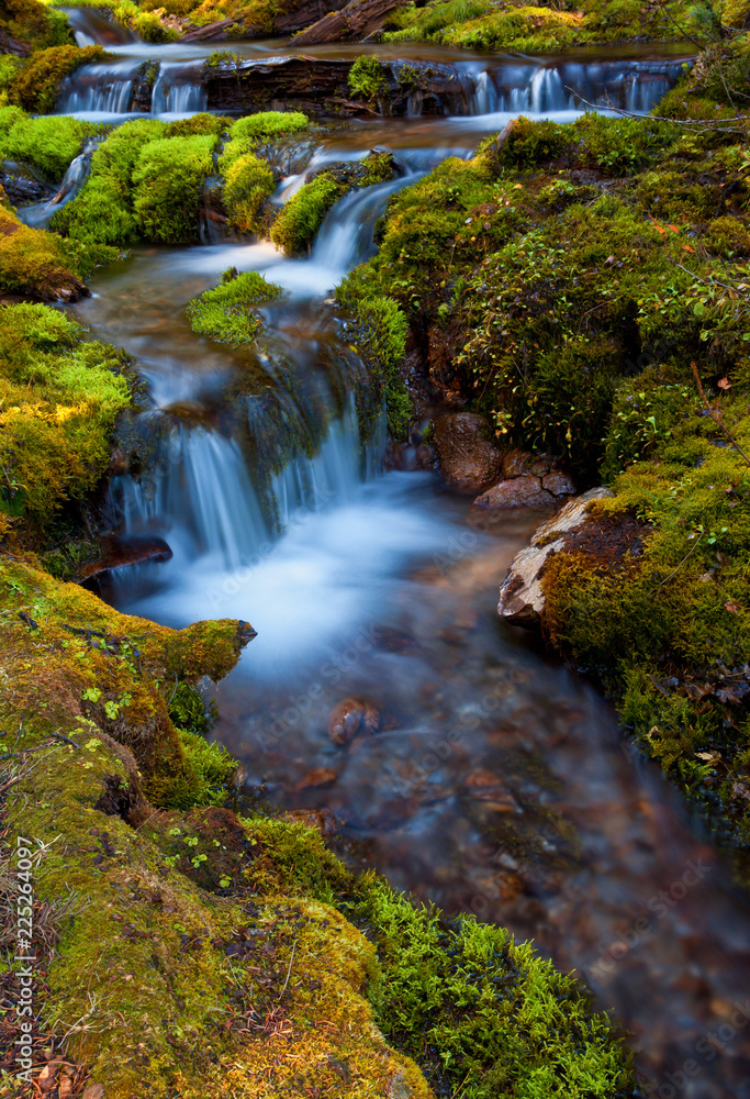 Fototapeta premium Small mountain stream surrounded by moss covered rocks