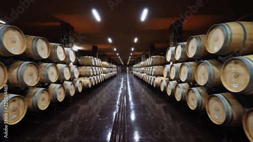 Wooden WINE BARRELS in a dark CELLAR arranged in symmetrical rows. The scene captures the quiet atmosphere of long-term wine storage and aging.