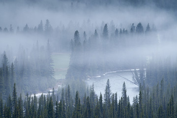 Keuken achterwand Mistig bos Mistige ochtend Rocky Mountains Canada  © Tom Nevesely