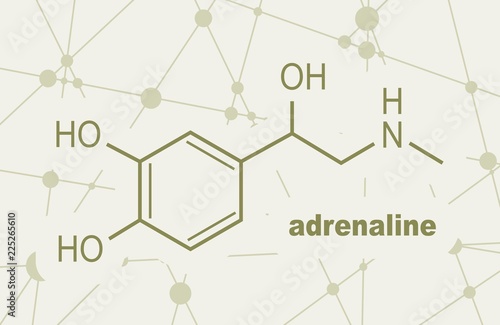 Chemical molecular formula hormone adrenaline. Infographics illustration.