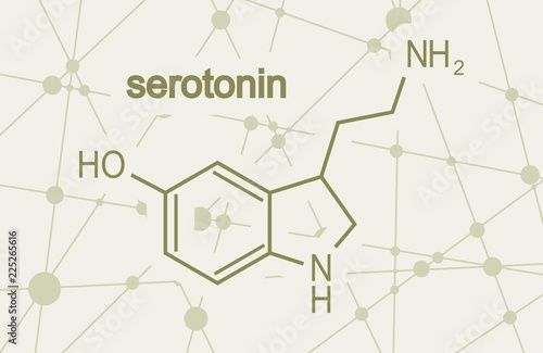 Chemical molecular formula hormone serotonin. Infographics illustration.