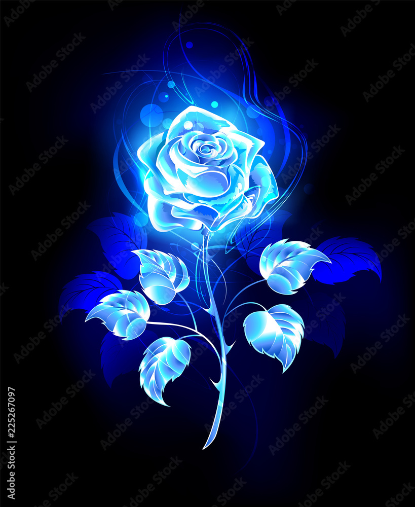 Burning Blue Rose Stock イラスト Adobe Stock