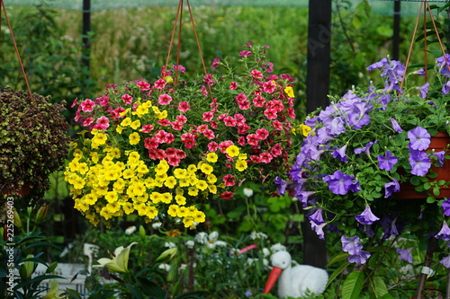Wallpaper Mural flower bed Torontodigital.ca