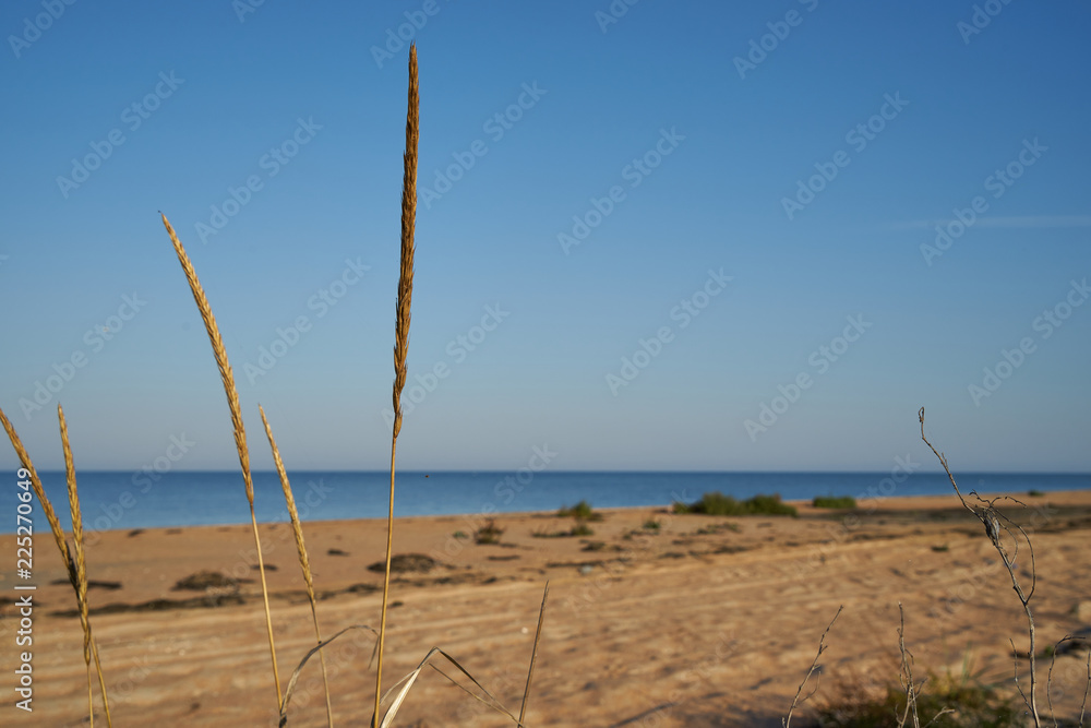 Image of a sandy beach.