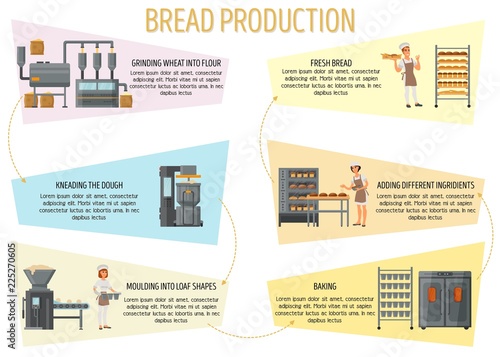 Bread production infographic vector flat style design