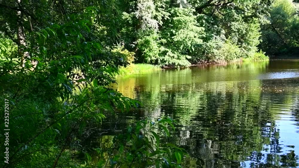 Idyllic Landscape of the lake surrounded by greenery. The incomparable beauty of peaceful nature. Idyllic Landscape of the lake surrounded by greenery. The incomparable beauty of peaceful nature.