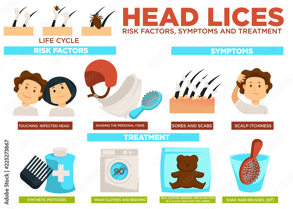 Head lice risk factors symptoms and treatment poster vector Stock