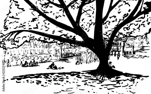 Park and a big tree in hand drawn style.