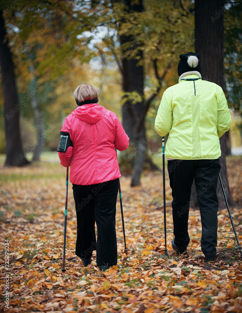 Two puffer jacket dressed elderly women are involved in Scandinavian walking in the park in off-road in the middle of the trees. Back view Two puffer jacket dressed elderly women are involved in Scandinavian walking in the park in off-road in the middle of the trees. Back view