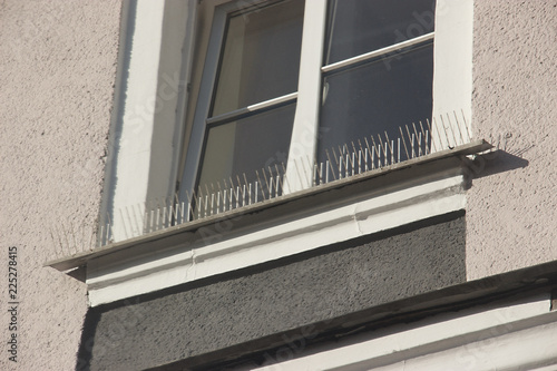 part of the facade of the building with plastic spikes against pigeons. the design does not allow birds to sit down and shit. Vertical plastic spikes in two rows keep the house from pigeon droppings