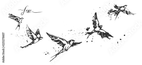 Obraz na plátně flying swallow birds set