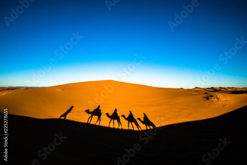 Wide angle shot of people riding camels in caravan over the sand dunes in Sahara desert with camel shadows on a sand