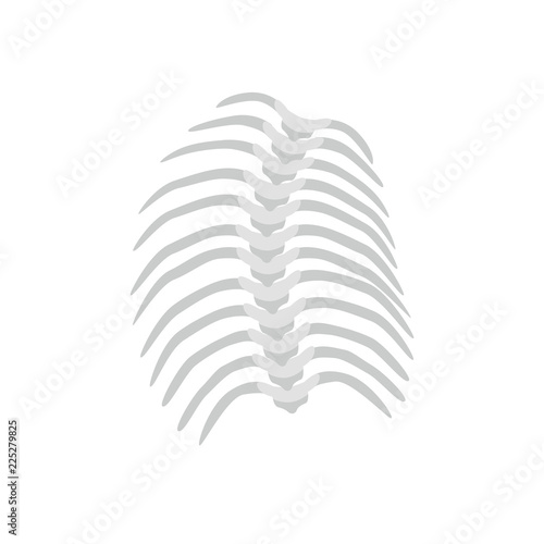 Thoracic Scoliosis on the thoracic spine and curved backbone concept vector illustration in flat design isolated on white background. Scoliosis medical infographic element, spine and ribs icon.