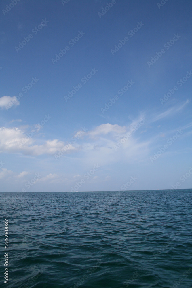Paradise on the Ocean Paradise on the Ocean