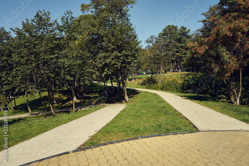 Fototapeta Naklejka Na Ścianę i Meble -  path in the park