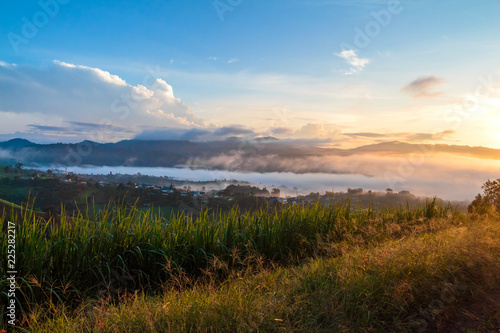 View of village and grass flowers covered in foggy during morning sunrise.