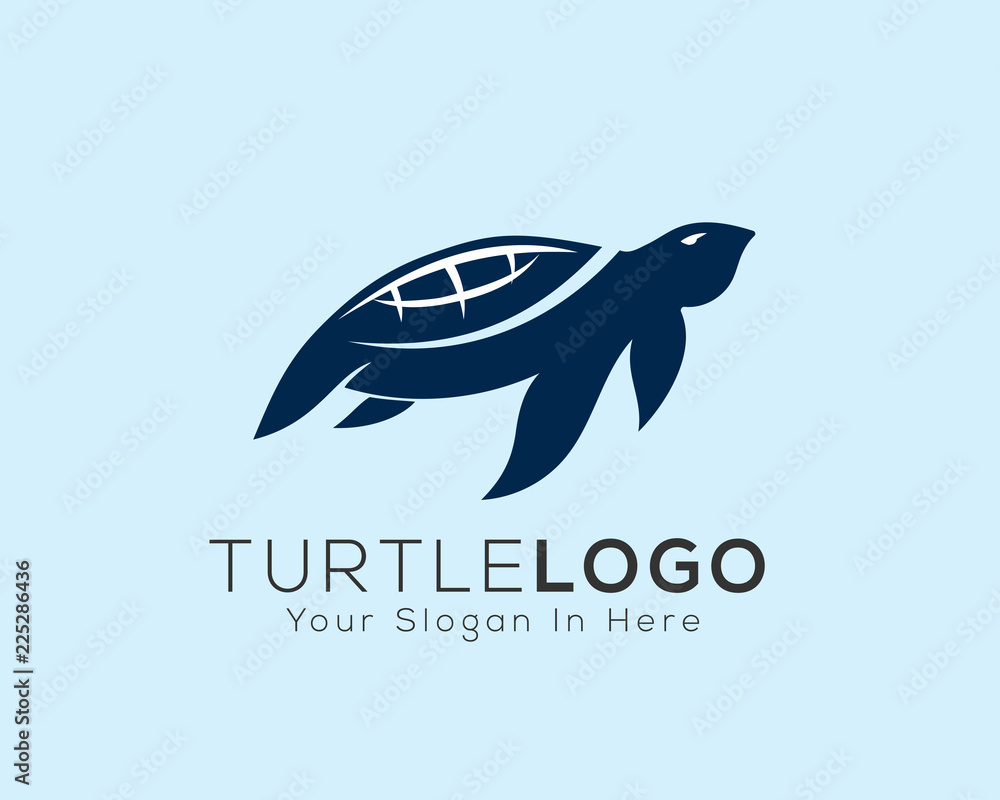 Tortoise by Dmitry Krino on Dribbble