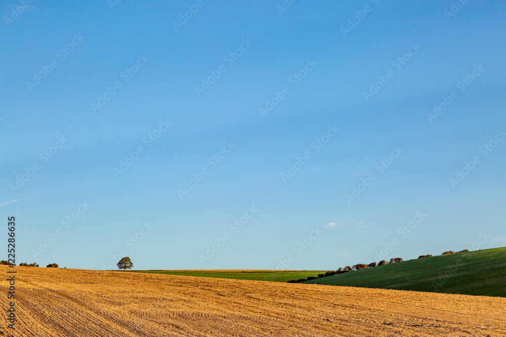 Early morning light over South Downs farmland