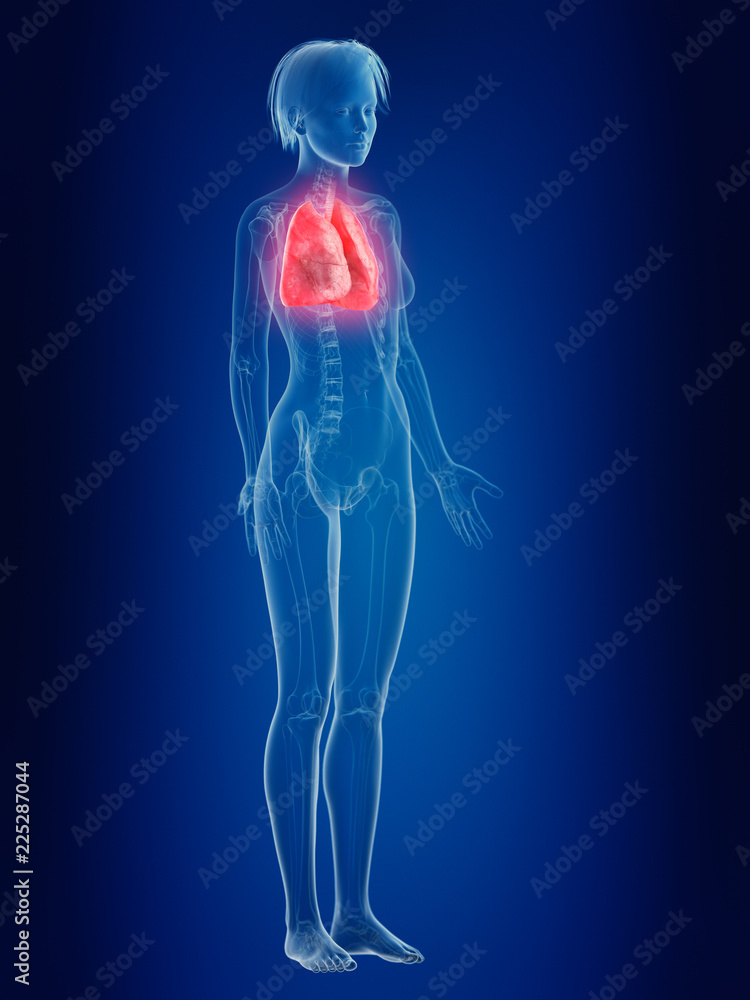 3d rendered medically accurate illustration of a females painful lung 3d rendered medically accurate illustration of a females painful lung