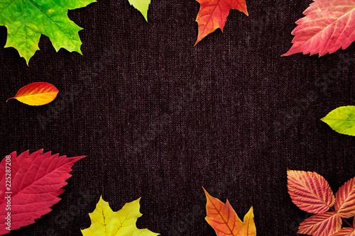 Frame of colorful autumn leaves on on dark background. Flat lay, top view, place for text.