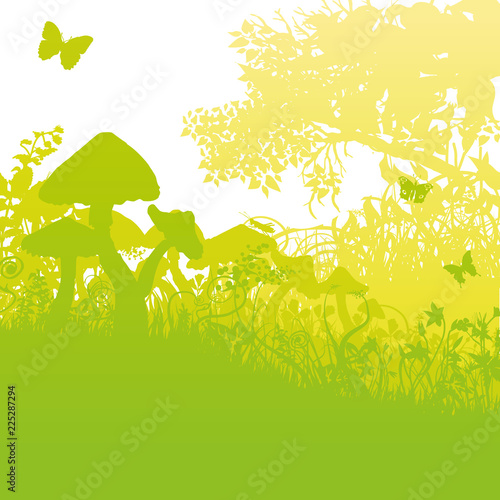 Pilze versteckt im Wald und Unterholz