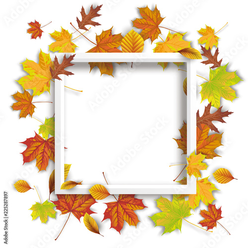 Autumn Foliage White Frame White Background