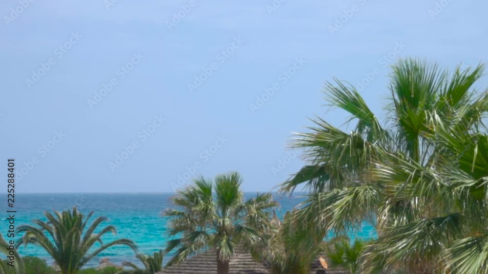 Tropical vacation.  Beautiful tropical beach and sea with palm tree on blue sky background