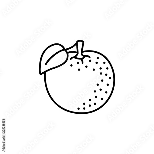 Black & white vector illustration of organic orange fruit with leaf. Line icon of fresh citrus. Vegan & vegetarian food. Health eating ingredient. Isolated object