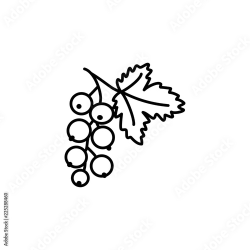 Black & white vector illustration of red or black current with leaf. Line icon of fresh berries. Vegan & vegetarian food. Health eating ingredient. Isolated object