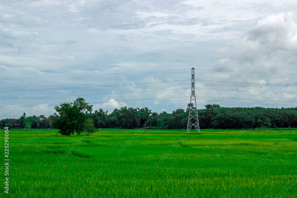 Green rice field near the mountain Beautiful landscape Green rice field near the mountain Beautiful landscape