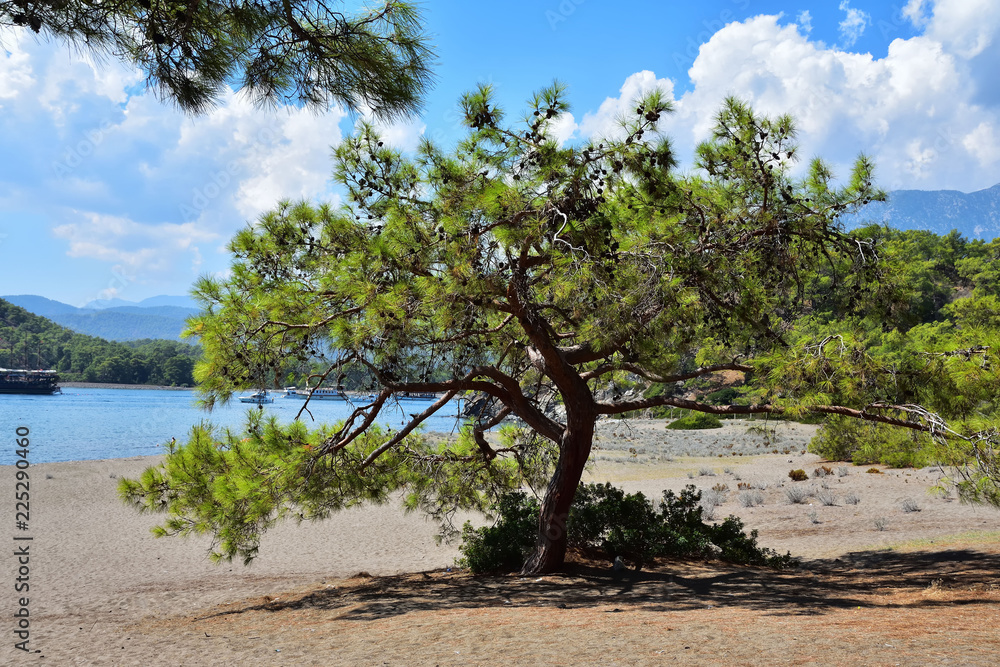 Antique bay of Kemer is a picturesque place near the ruins of the ancient city of Phaselis, founded in the 7th century BC