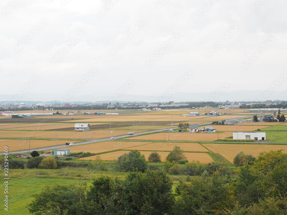 Fototapeta premium 秋の北海道 風景