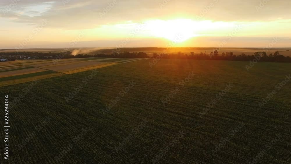 Amazing huge sunset on fields horizon. Aerial view. 4K Amazing huge sunset on fields horizon. Aerial view. 4K