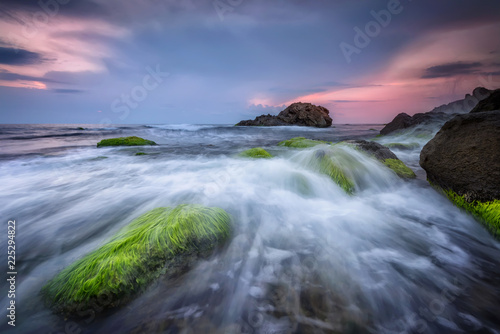 Fresh green morning / Rocky beach seascape at sunrise