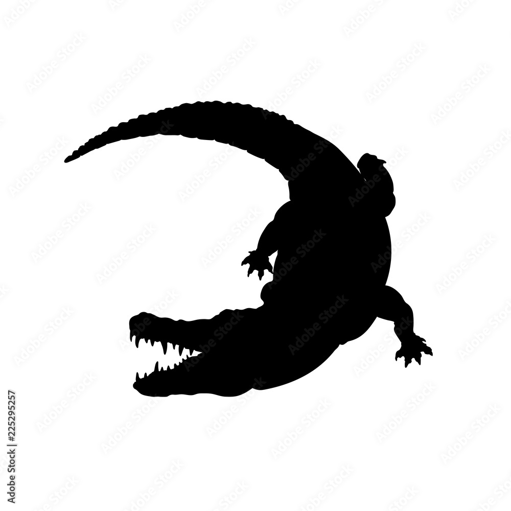 Fototapeta premium Czarna sylwetka aligatora mississippi. Na białym tle obraz krokodyla na białym tle. Zwierzę z Ameryki Północnej. Ilustracji wektorowych