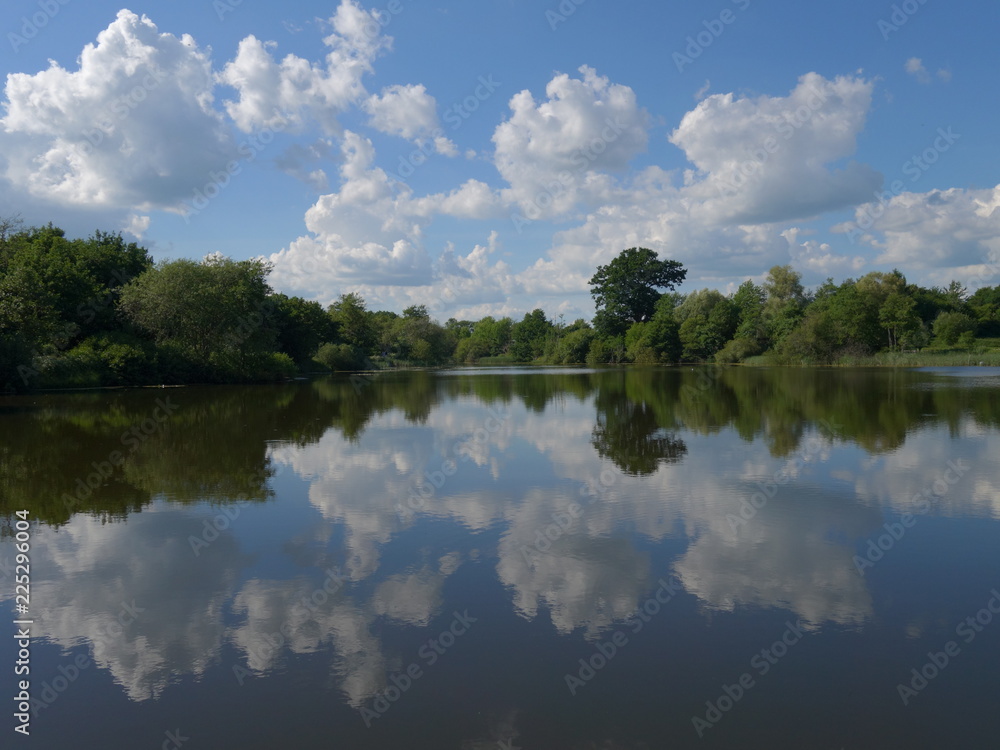 Reflection of a Tree Landscape in a Lake