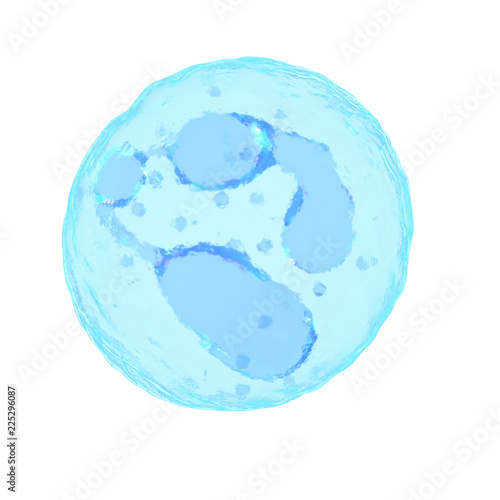 3d rendered medically accurate illustration of a neutrophile photo