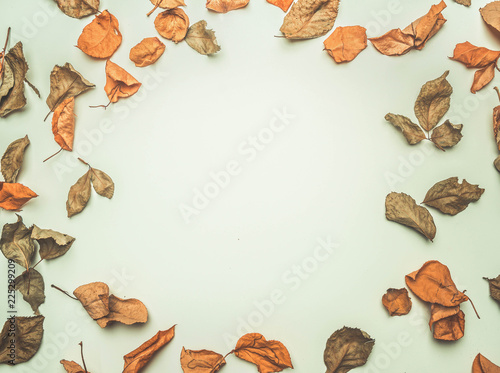 dry autumn leaves lined on white background, top view, place for text, frame