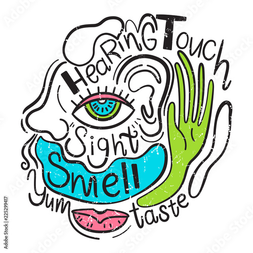 Vector illustration of the 5 human senses. Sight, taste, hearing, smell, touch. Hand drawn style