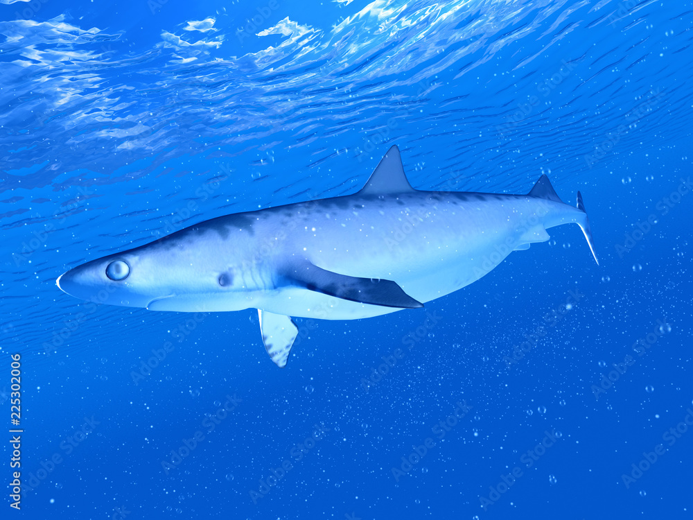Fototapeta premium 3d rendered illustration of a shark
