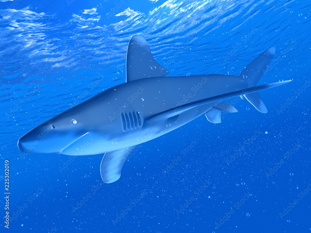 Obraz premium 3d rendered illustration of a white tip shark