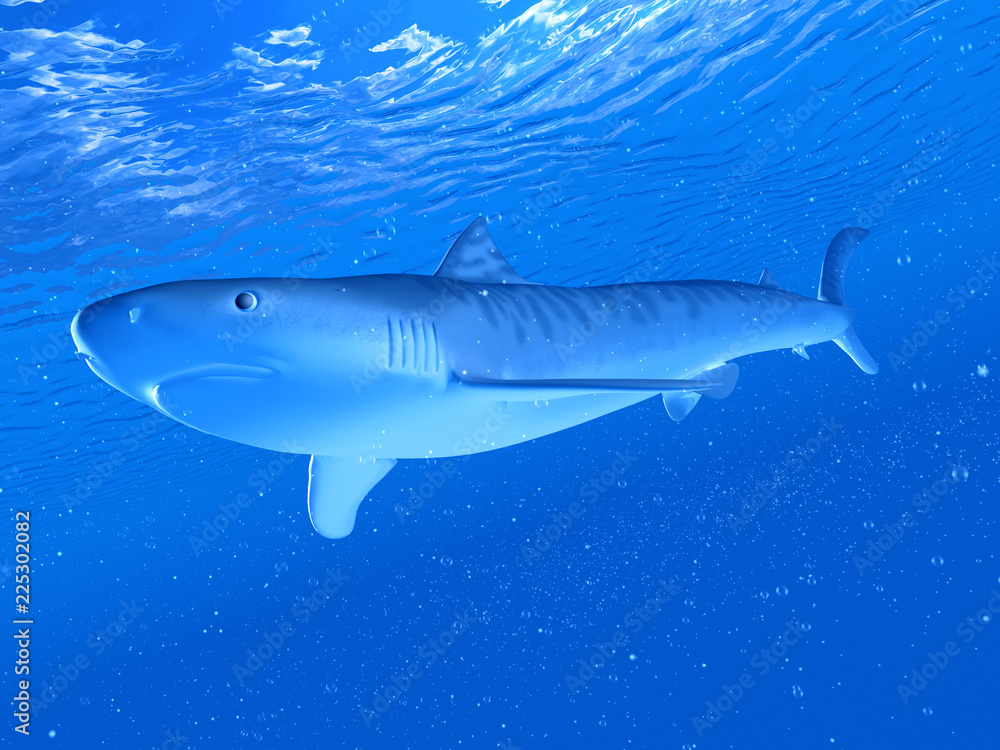 Fototapeta premium 3d rendered illustration of a tiger shark
