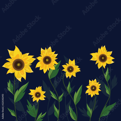 Fototapeta Naklejka Na Ścianę i Meble -  Sunflower on dark background - Vector illustration 