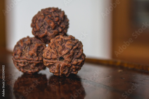 Large Five Face Rudraksh Seed Macro