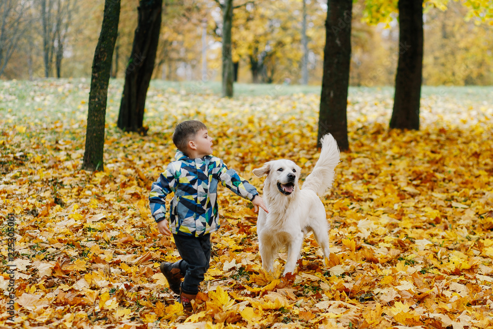 boy playing fun with a dog in an autumn park boy playing fun with a dog in an autumn park