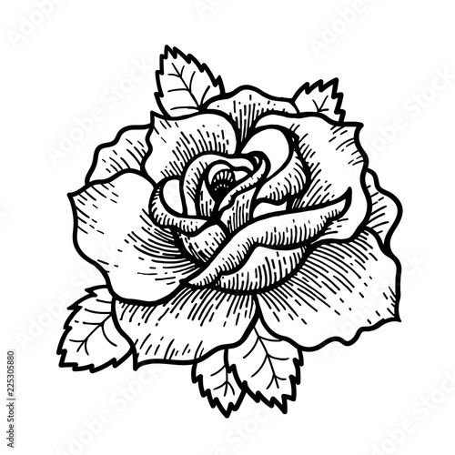 Tattoo Rose flower. Vector illustration art Isolated vector
