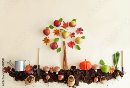 Autumn fruit and vegetable ...